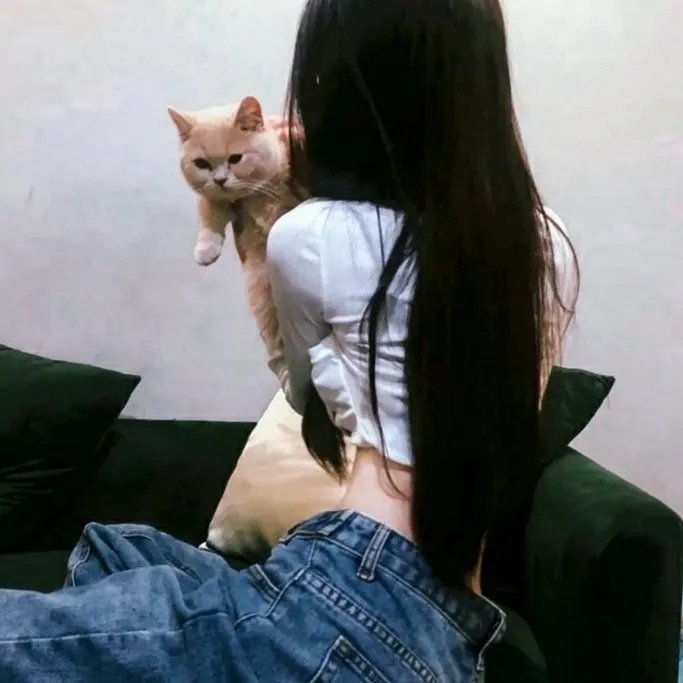 白烂贱客
